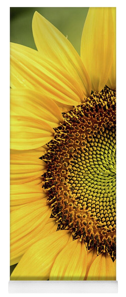Flower Yoga Mat featuring the photograph Part of a Sunflower by Don Johnson