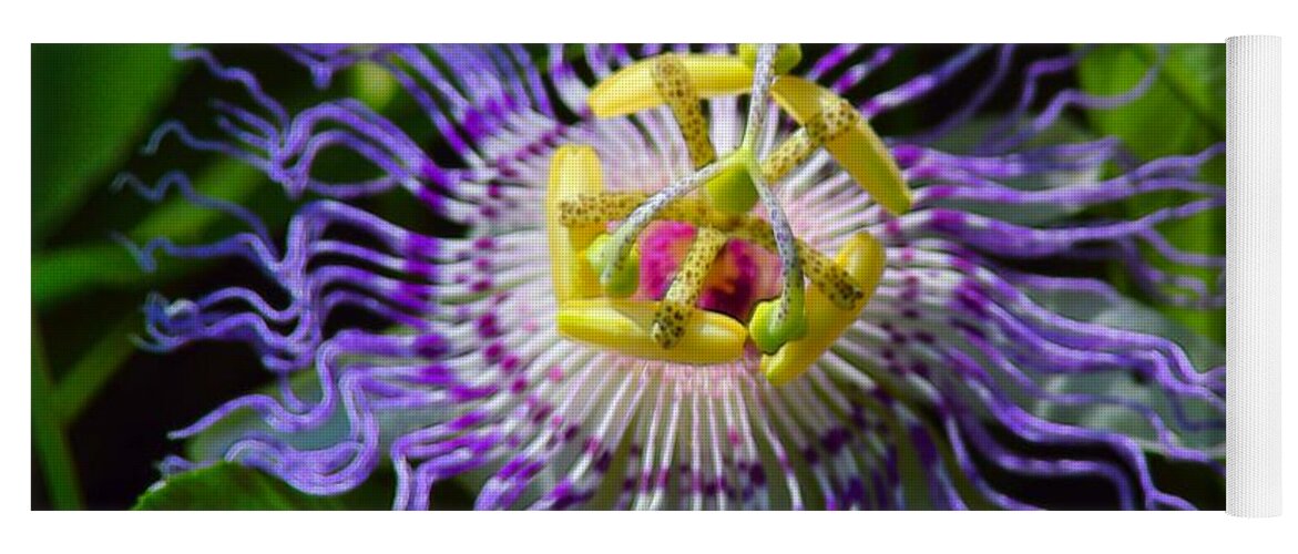 Flower Yoga Mat featuring the photograph Passionflower Spiritual Art by Robyn King