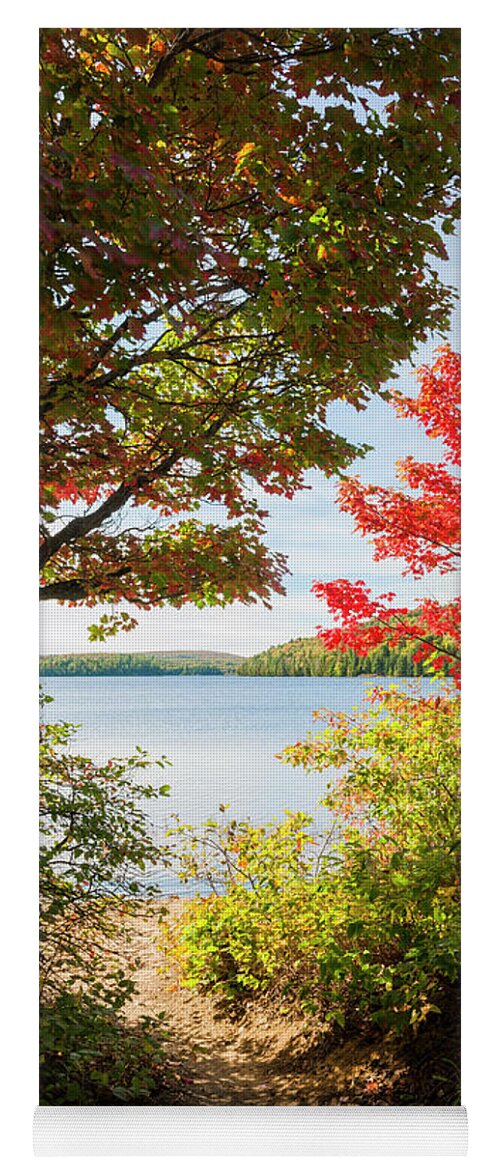 Fall Yoga Mat featuring the photograph Path to the lake by Elena Elisseeva