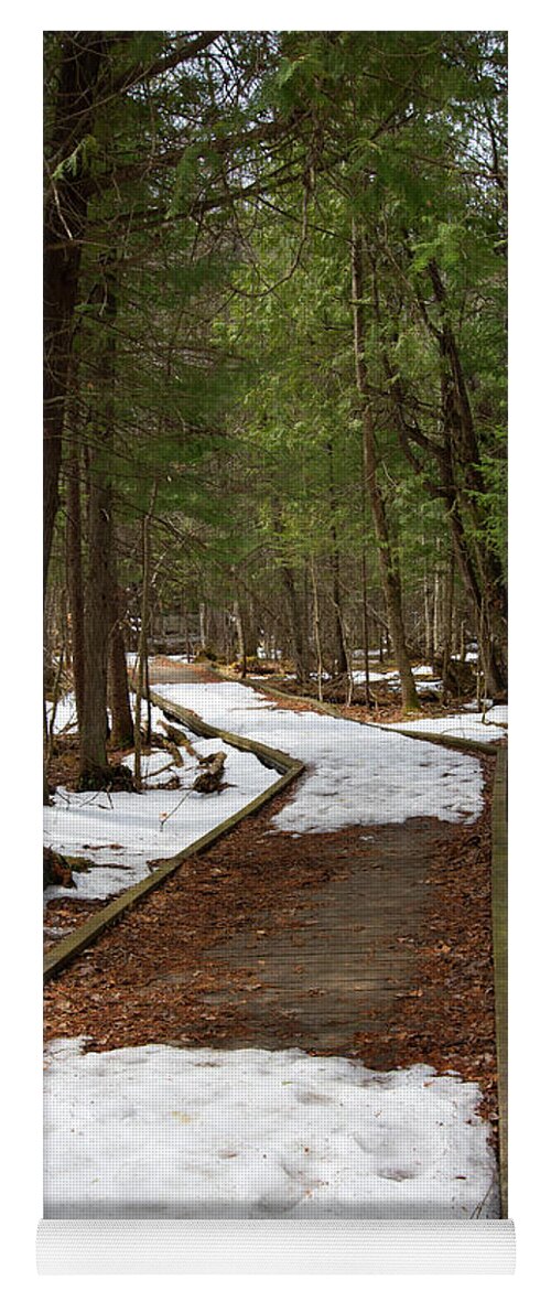 Trees Yoga Mat featuring the photograph Pathway by Linda Kerkau
