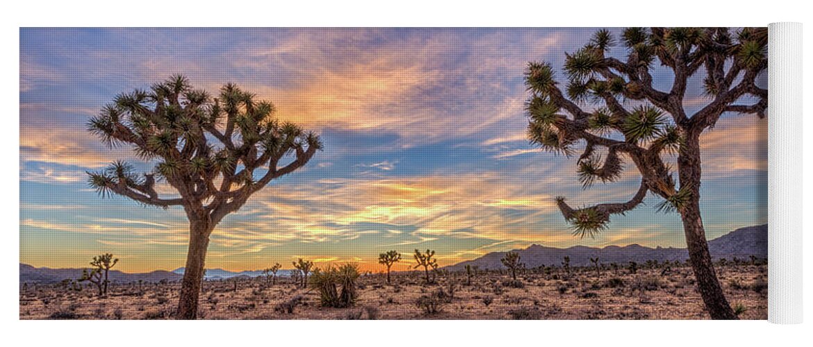 California Yoga Mat featuring the photograph Peace at Joshua Tree by Peter Tellone
