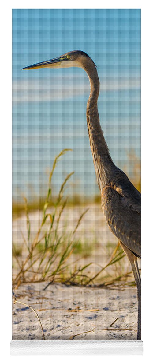 This Beautiful Bird Yoga Mat featuring the photograph Peace on the Beach by Metaphor Photo