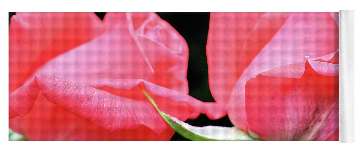 Flower Yoga Mat featuring the photograph Peach Rosebud Pair by Smilin Eyes Treasures