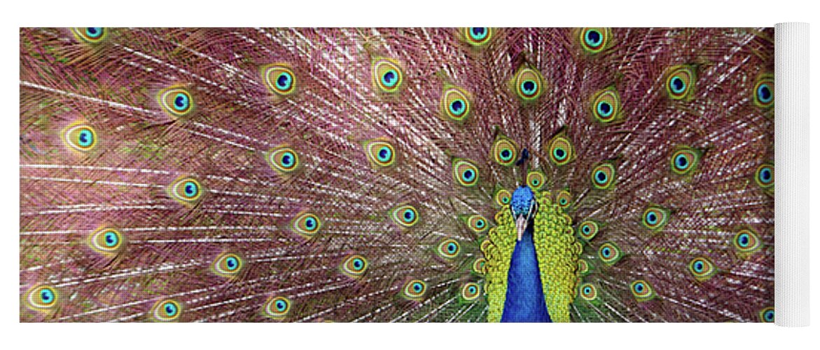 Animal Yoga Mat featuring the photograph Peacock by Carlos Caetano
