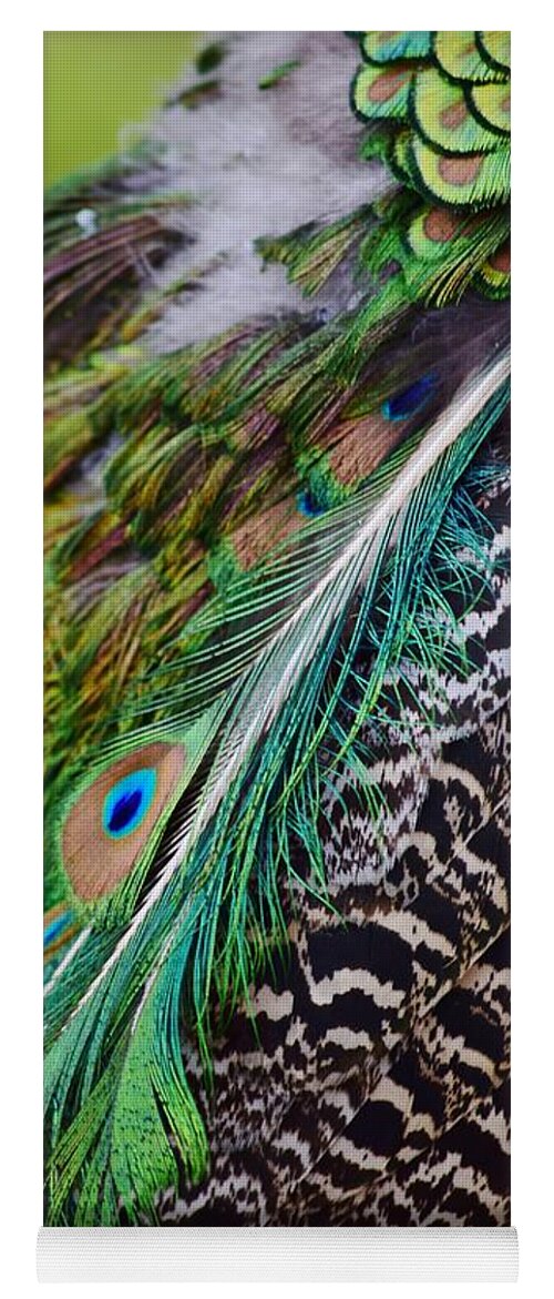 Peacock Yoga Mat featuring the photograph Peacock by Nicole Lloyd