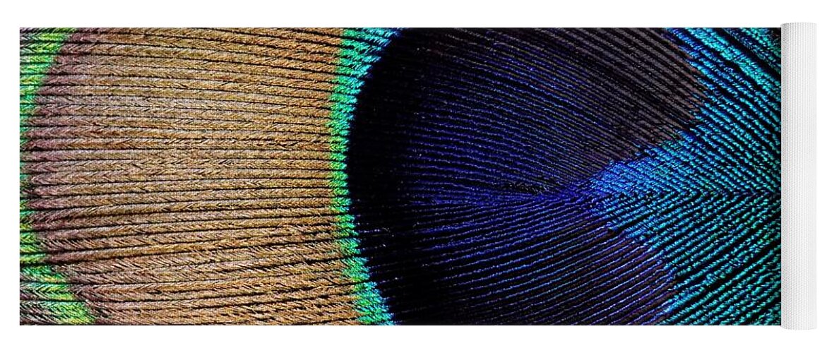 Kj Swan Feathers Yoga Mat featuring the photograph Peacock Weave by KJ Swan