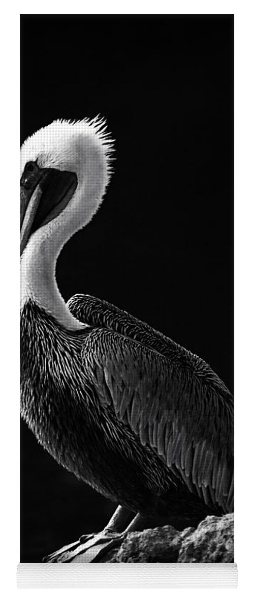 Oregon Yoga Mat featuring the photograph Pelican Black and White by Mark Kiver