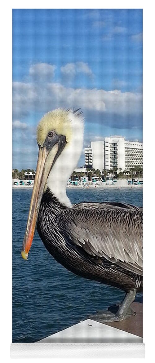 Water Yoga Mat featuring the photograph Pelican -Florida by Adrian De Leon Art and Photography