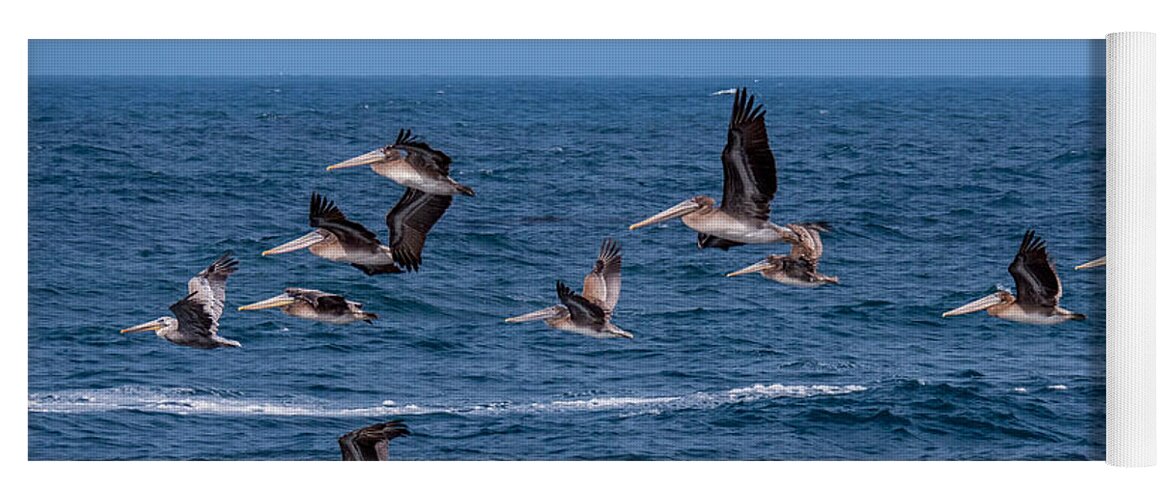 Pelicans Yoga Mat featuring the photograph Pelicans Fly Over the Water by Derek Dean