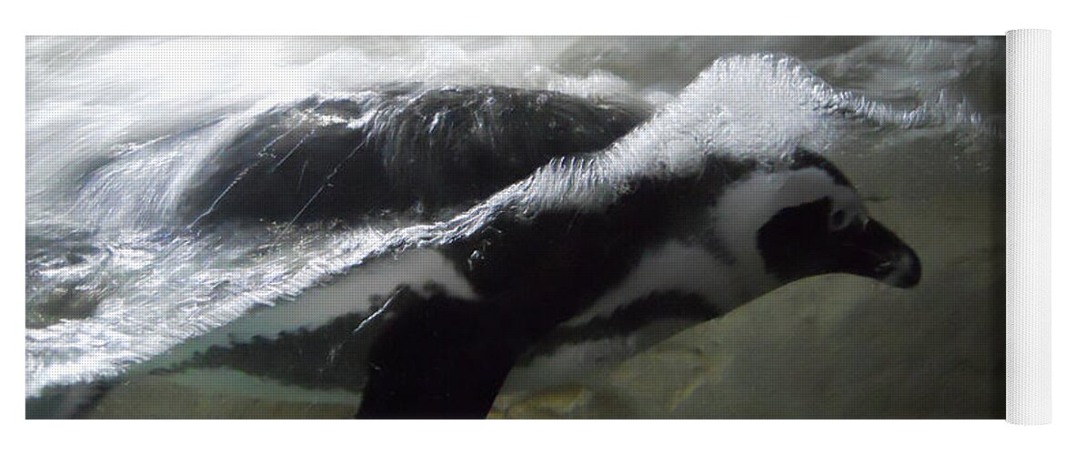 Penguin Yoga Mat featuring the photograph Swimming Penguin by Maggy Marsh