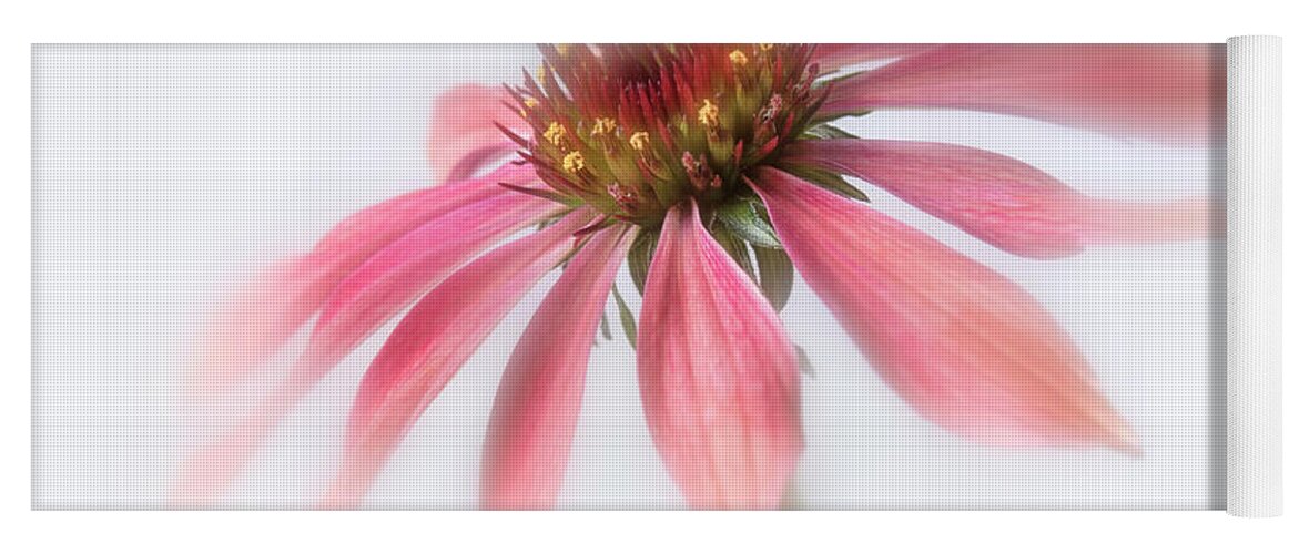 Bloom Yoga Mat featuring the photograph Perennial cone flower. by Usha Peddamatham