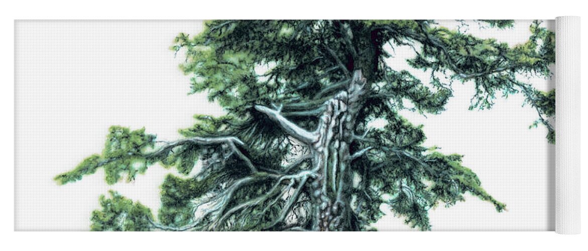 Pine Tree Yoga Mat featuring the painting Perserverance by Wayne Pruse