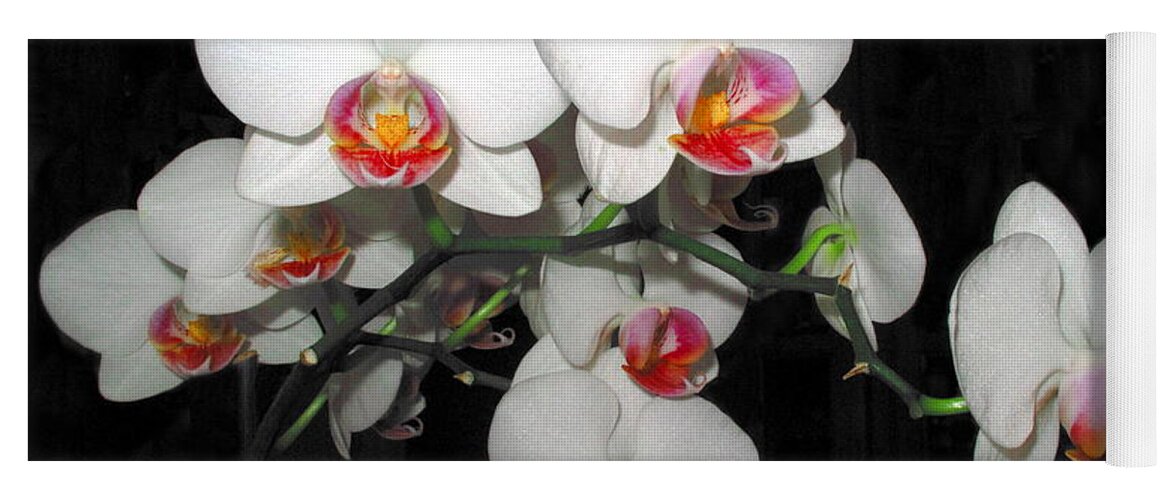 Phalaenopsis Orchids Yoga Mat featuring the photograph Phalaenopsis Orchids by Joyce Dickens