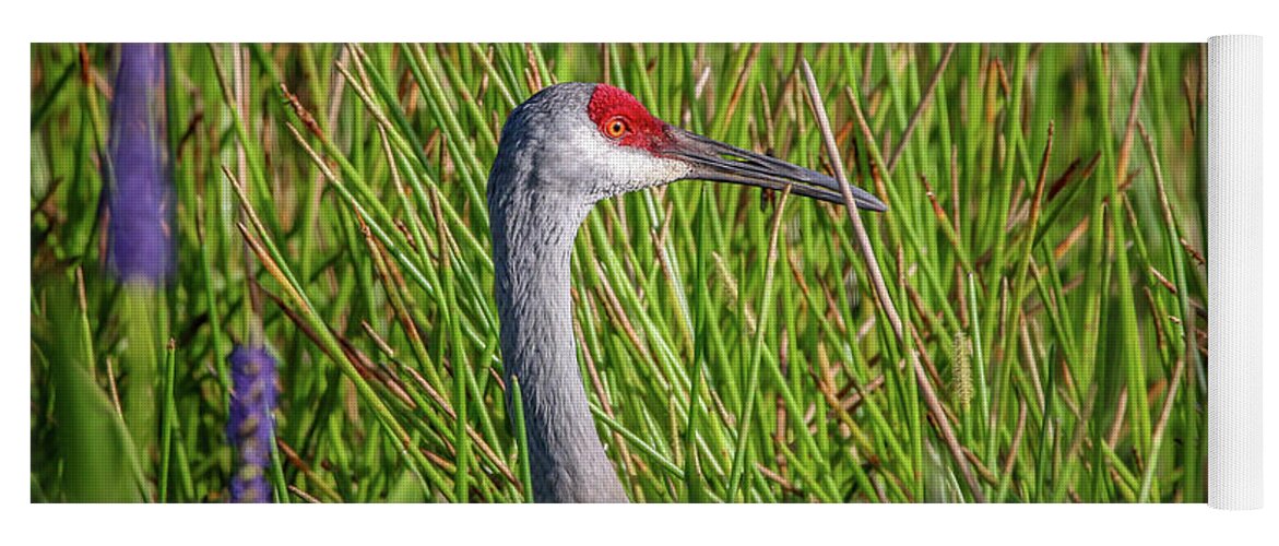 Crane Yoga Mat featuring the photograph Pickerelweed Crane by Tom Claud