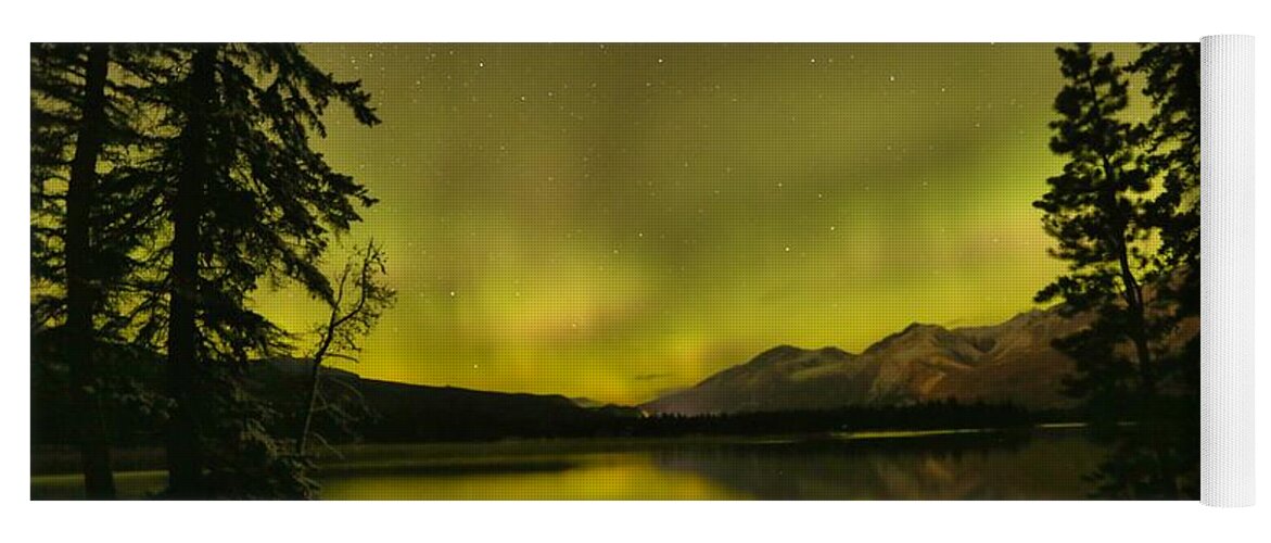 Canadian Northern Lights Yoga Mat featuring the photograph Pine Tree Silhouettes by Adam Jewell