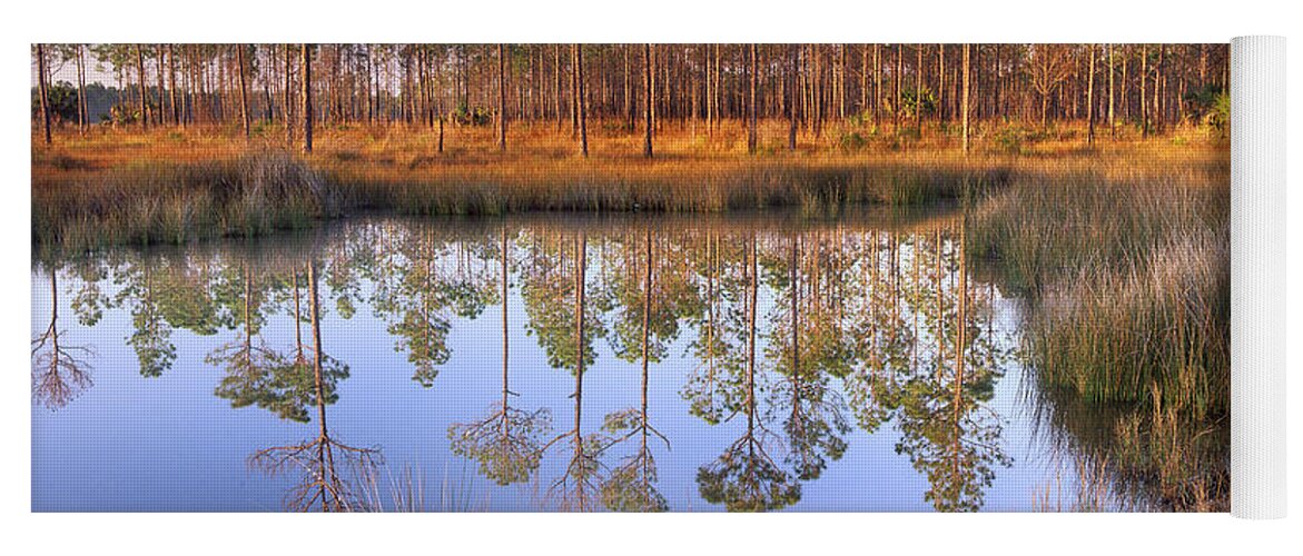 00175905 Yoga Mat featuring the photograph Pine Trees Reflected In Pond Near Piney by Tim Fitzharris