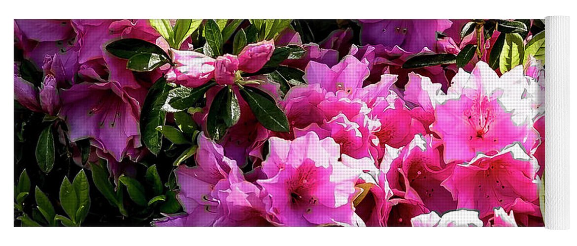 Flowers Yoga Mat featuring the photograph Pink Azaleas by Ed Stines