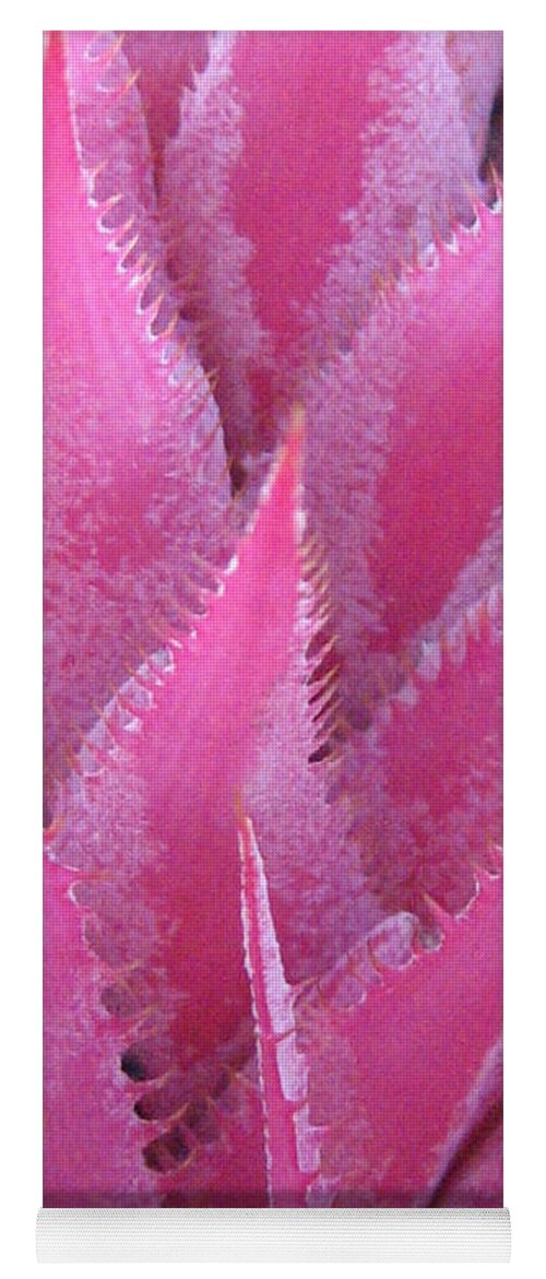 Pink Yoga Mat featuring the photograph Pink Cactus by Nikki Smith
