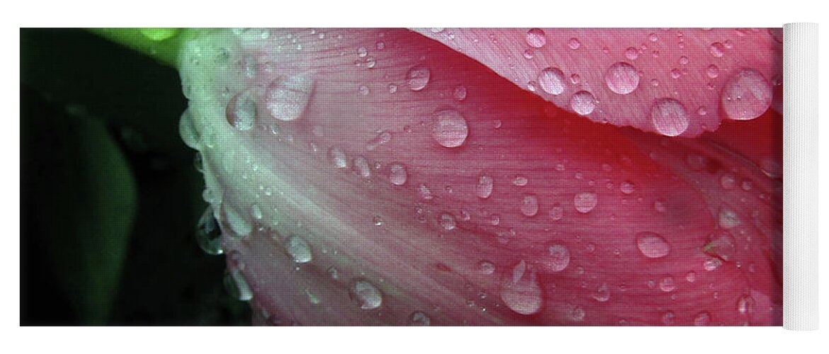 Tulips Yoga Mat featuring the photograph Pink Drops 2 by Kim Tran