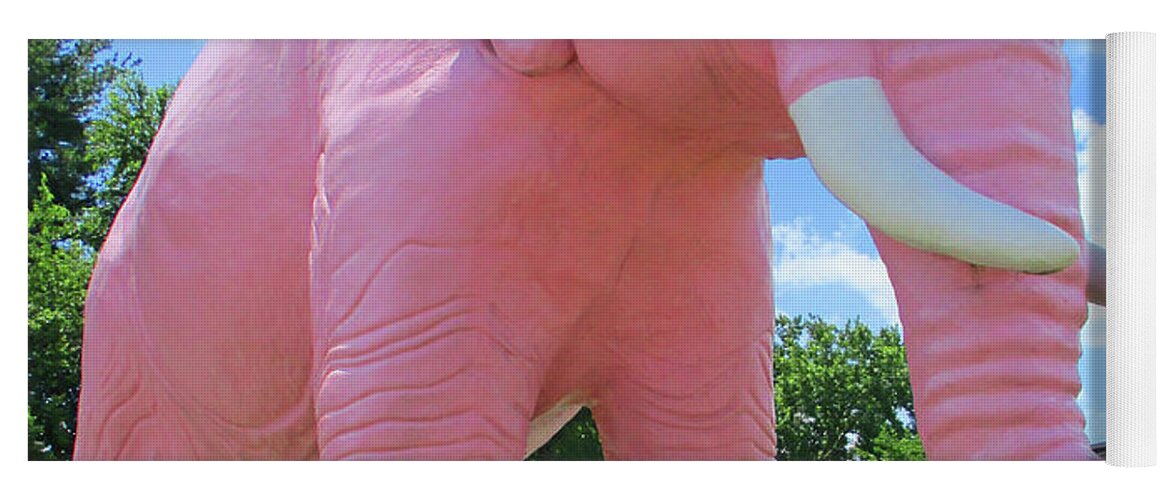 Pink Yoga Mat featuring the photograph Pink Elephant 2 by Randall Weidner