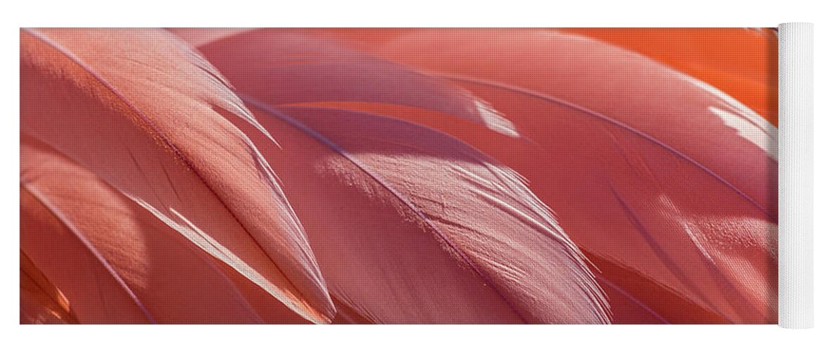 Abstract Yoga Mat featuring the photograph Pink Flamingo by Holly Ross