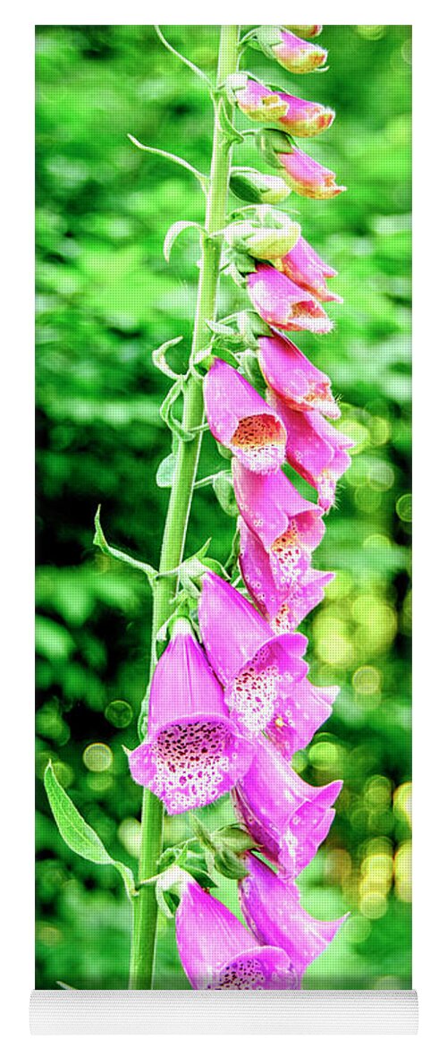 Flower Yoga Mat featuring the photograph Pink Foxglove by Alana Ranney