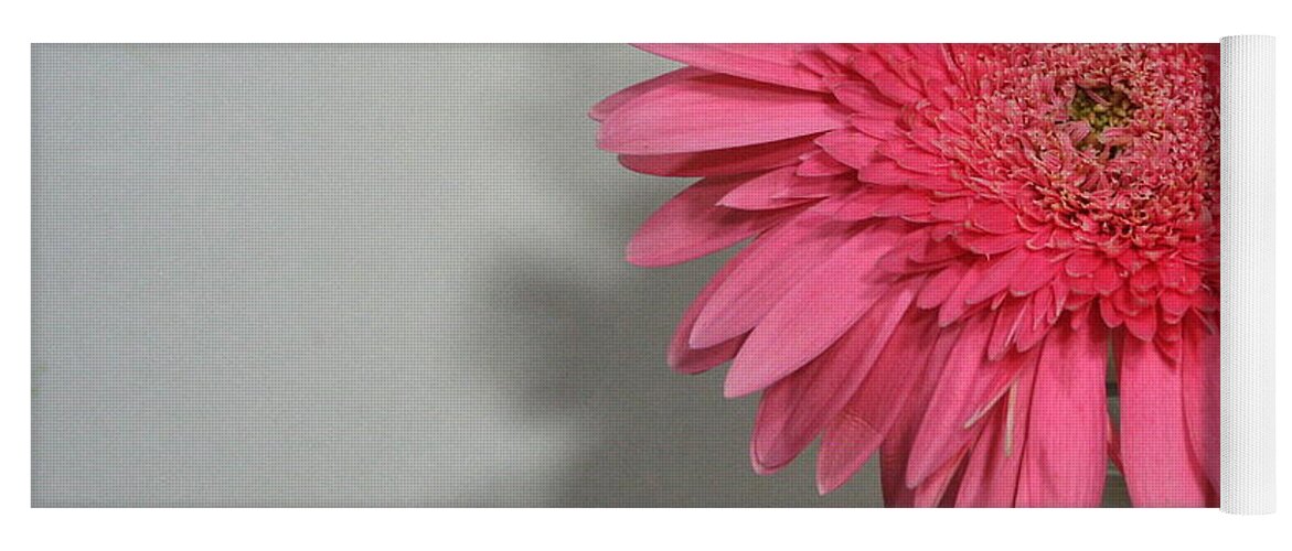 Pink Yoga Mat featuring the painting Pink Gerbera by Marna Edwards Flavell