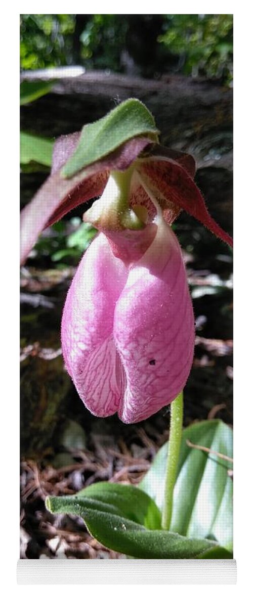 Nature Yoga Mat featuring the photograph Pink Ladies Slipper by Robert Nickologianis