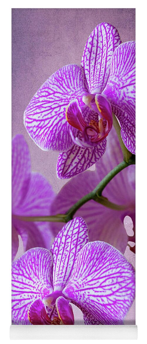 Orchid Yoga Mat featuring the photograph Pink Orchids branch by Heiko Koehrer-Wagner