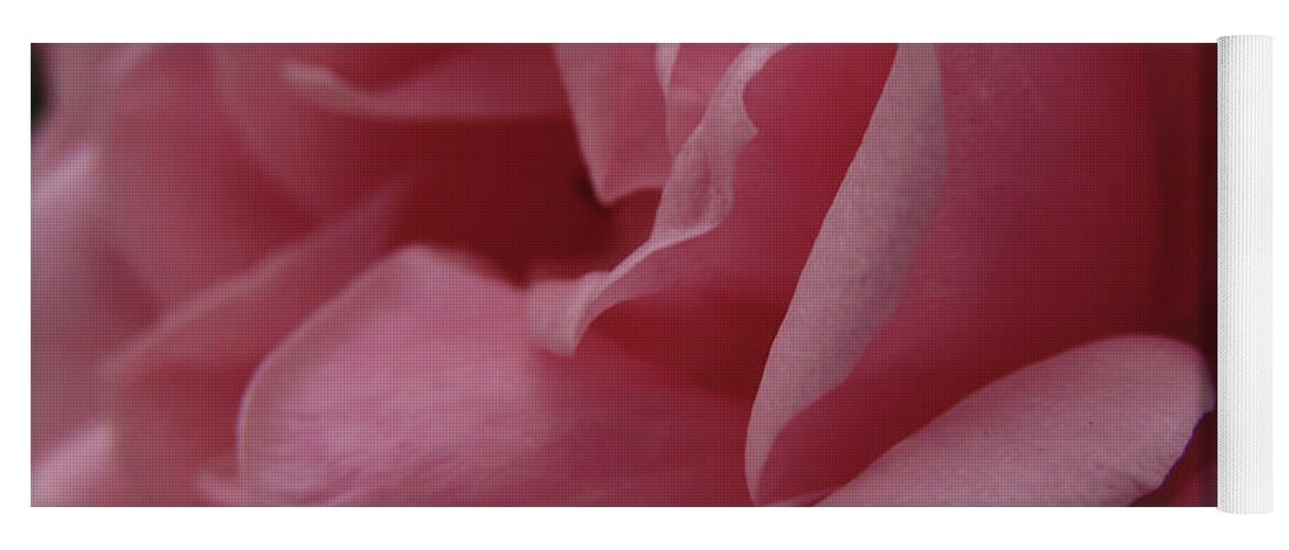 Rose Yoga Mat featuring the photograph Pink Rose Macro 4 by Kim Tran