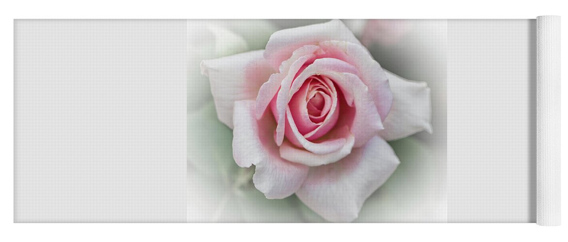 Botanicals Yoga Mat featuring the photograph Pink Rose, Sweet and Soft by Venetia Featherstone-Witty