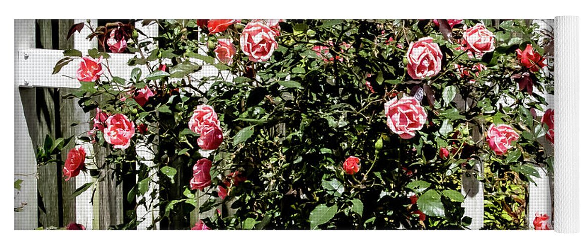 Rose Yoga Mat featuring the digital art Pink Roses by Ed Stines