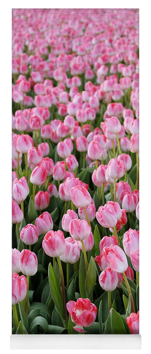 Tulips Yoga Mat featuring the photograph Pink Tulips- photograph by Linda Woods