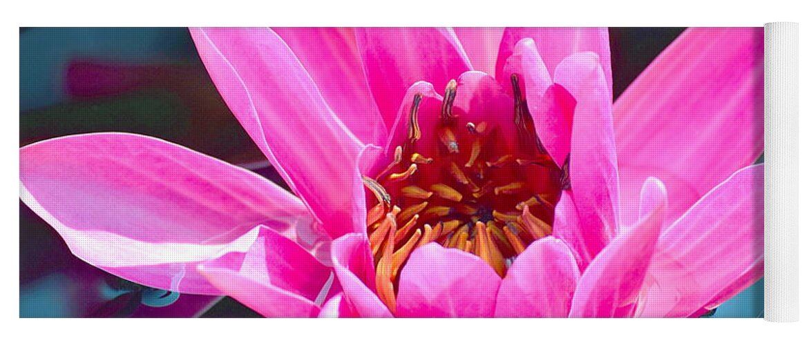 Lily Yoga Mat featuring the photograph Pink Wonder by Deborah Crew-Johnson