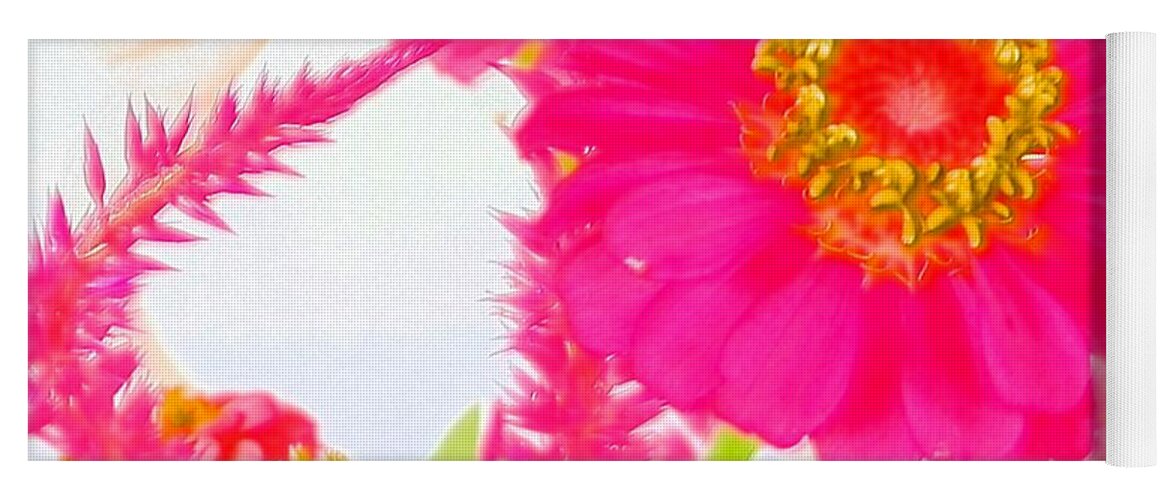 #zinnia #pops With #pink #color And #celosia In The #background Yoga Mat featuring the photograph Pink Zinnia Watercolor by Belinda Lee