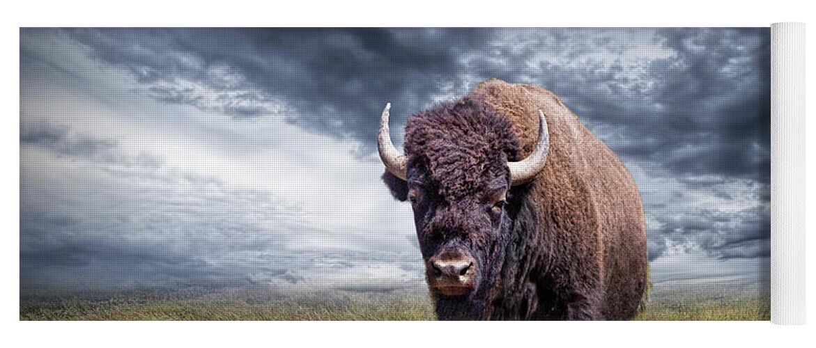 Bison Yoga Mat featuring the photograph Plains Buffalo on the Prairie by Randall Nyhof