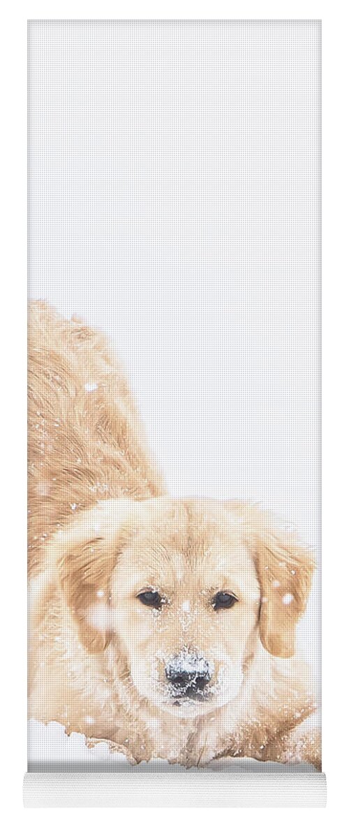 Puppy Yoga Mat featuring the photograph Playful Puppy by Jennifer Grossnickle