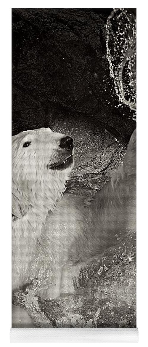 Polar Bear Yoga Mat featuring the photograph Playtime by Jessica Brawley