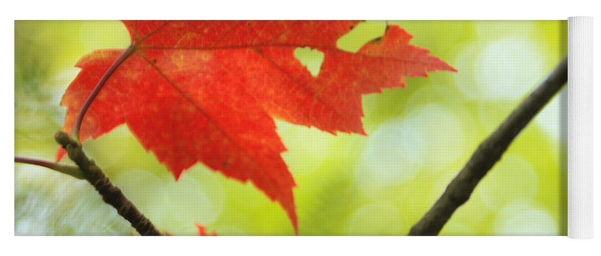 red Maple Leaf Yoga Mat featuring the photograph Poesie d'Automne by Aimelle Ml