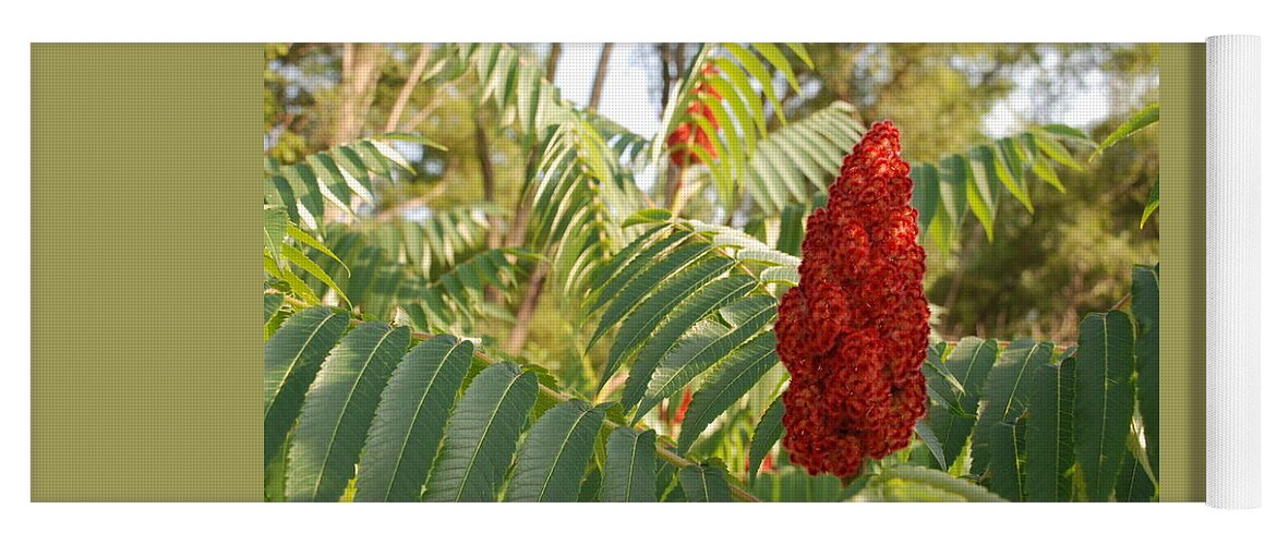 Staghorn Sumac Yoga Mat featuring the photograph Staghorn Sumac #2 by Ee Photography