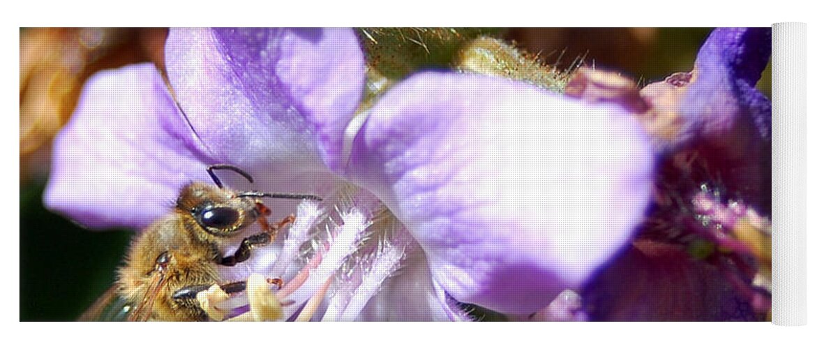 Bee Yoga Mat featuring the photograph Pollinating 1 by Amy Fose