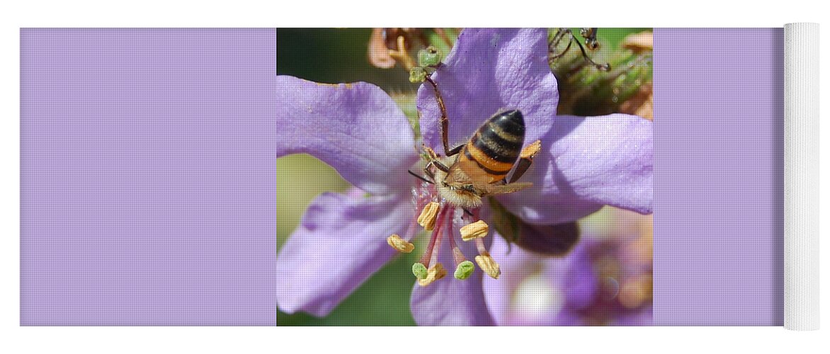 Bees Yoga Mat featuring the photograph Pollinating 4 by Amy Fose