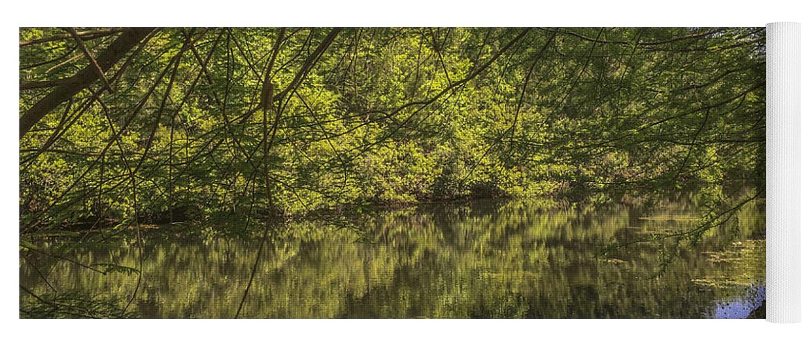 Pond Yoga Mat featuring the photograph Pond Reflections in Mount Pleasant SC by Dale Powell