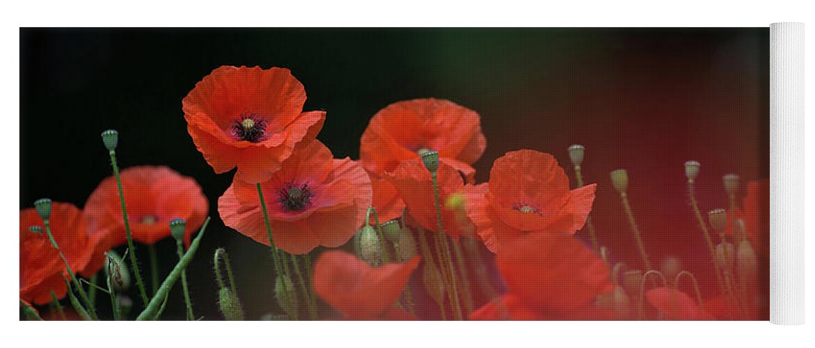 Wild Yoga Mat featuring the photograph Poppy Black by Pete Walkden