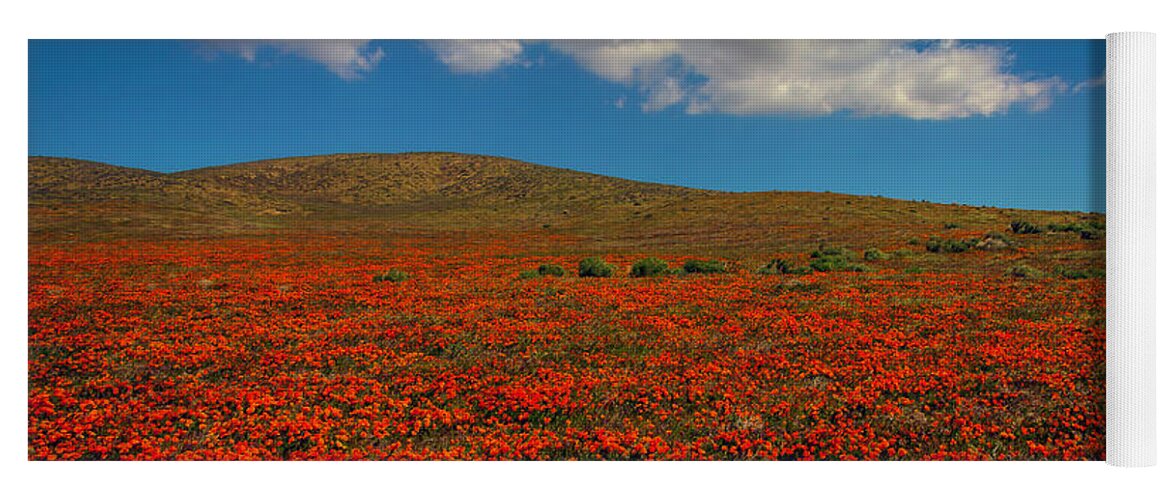Poppy Yoga Mat featuring the photograph Poppy Field With Clouds by Garry Gay