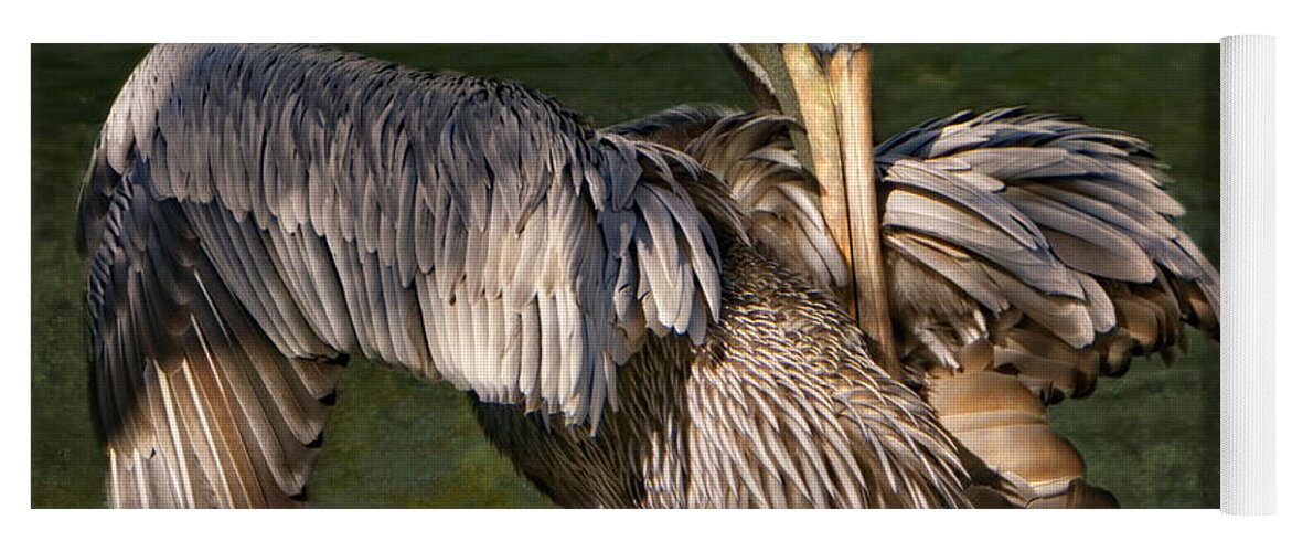 Pelican Yoga Mat featuring the photograph Portrait of a Brown Pelican Preening by Mitch Spence