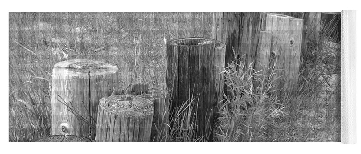 Black And White Photo Of Cut Down Fence Posts Yoga Mat featuring the photograph Posts in a row by Erick Schmidt