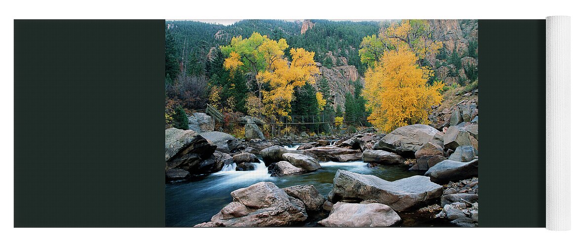 Colorado Yoga Mat featuring the photograph Poudre Gold by Jim Benest