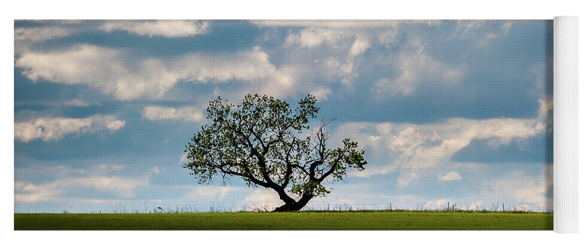 Lone Tree Yoga Mat featuring the photograph Prairie Survivor by Jeff Phillippi