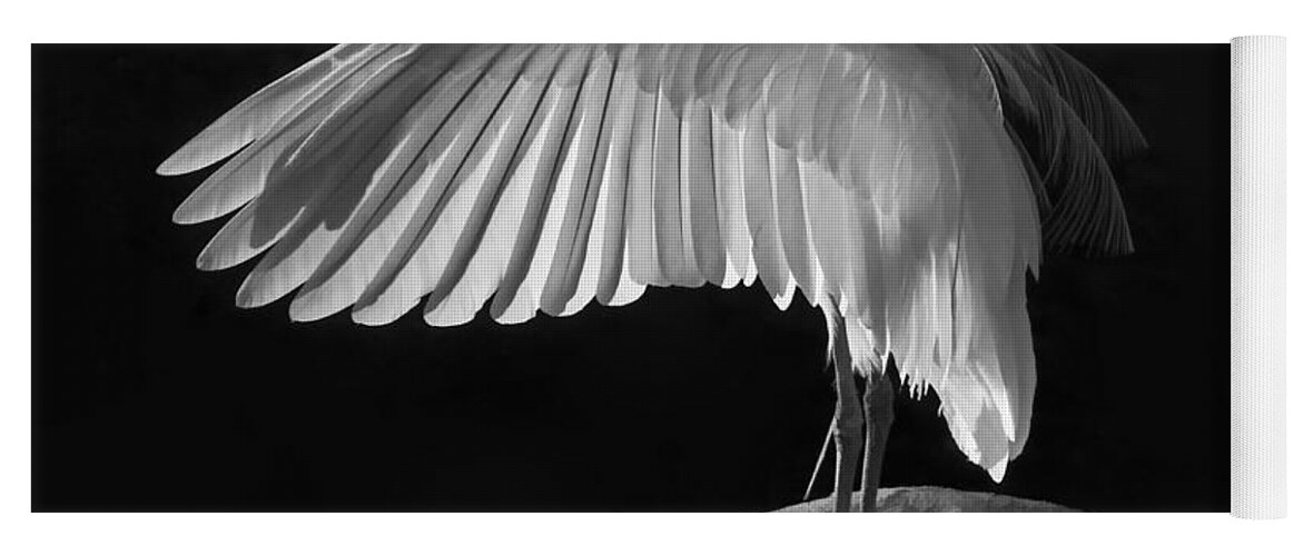 White Egret Yoga Mat featuring the photograph Preening Great Egret by H H Photography of Florida by HH Photography of Florida